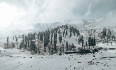 Gulmarg – Flower Meadow